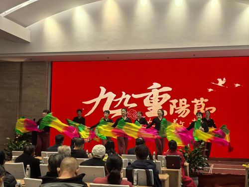 九華山祇民社區(qū)文藝匯演慶佳節(jié) 敬老溫情暖人心，文化藝術交流活動策劃